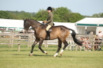 SBM_09778