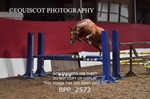 BPP_2572