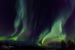 Aurora Fairbanks 6