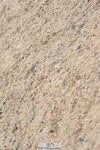 231013A-093606-00812
