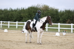 SBM_016802