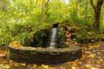 Autumnal Scene at Portglenone Forest
