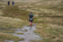Sedbergh Hills-852
