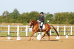 SBM_010516