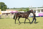 SBM_10365