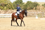 SBM_002993