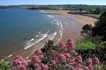 Looking down on Goodrington