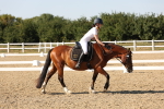SBM_006978