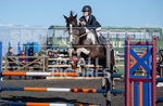 Senior Showjumping_10-11-2019-37