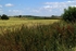 Agricultural Fields - Nottinghamshire
