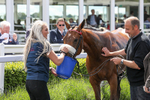 080624-Race 1-Rapido Girl-4579