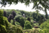 Stourhead _ WILT019