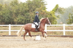 SBM_001140
