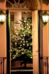 IMG_2889 Christmas Tree at the Dean Court CS2