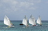 Bequia Easter Regatta_Heineken Challenge - Local Fishing Boatsgrw_8878