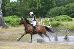 Class 1 & 2 80cm & Pairs portfolio
