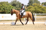SBM_003984