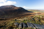 Autumn Light at Trassey Track