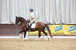 SBM_005388