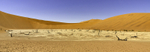 Dead Pan, Namibia