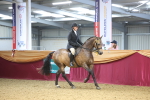 SBM_24343