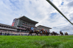 220825-Race 4-Asfoora-9395