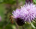 20110730-IMG_6199