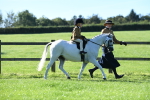 SBM_36798