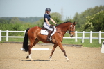 SBM_008033