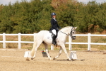 SBM_018770