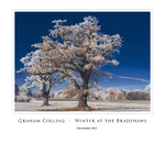 Winter at the Bradshaws