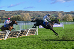 251025-Race 5-Caballo De Guerra-9507