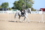 SBM_17481