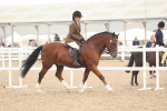 SBM_18159