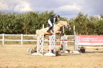 SBM_008860