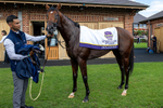 190826-Race 3-Maltese Cross-0427