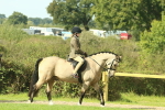 SBM_67382