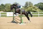 SBM_012364