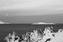 Varangerhalvøya
