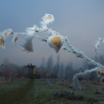Crystallisation