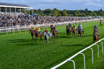 Race 7 17.20pm Sky Bet EBF Fillies' Handicap portfolio