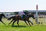 150726-Race 4-The Good Biscuit-3391