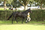 SBM_68567
