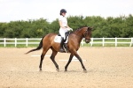 SBM_001963