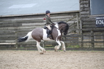 SBM_007979