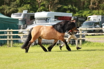SBM_01596