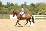 SBM_009164