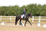 SBM_003146