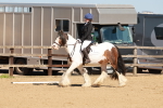 SBM_010441