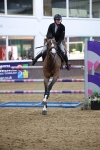 Sports Jumping portfolio